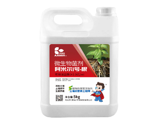 阿米爾1號-根