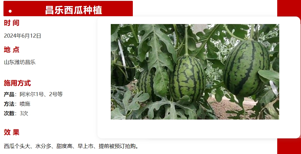 昌樂西瓜種植.png